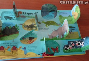 imagem_5