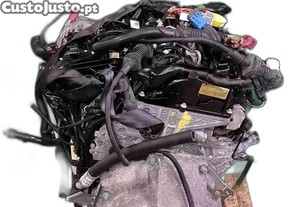 imagem_5