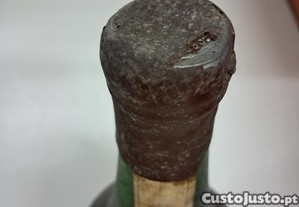 imagem_6
