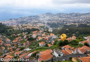 imagem_7