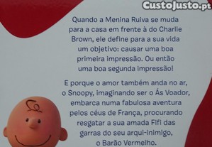 imagem_8