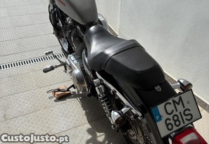 imagem_8