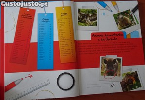 imagem_3