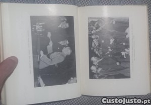 imagem_7