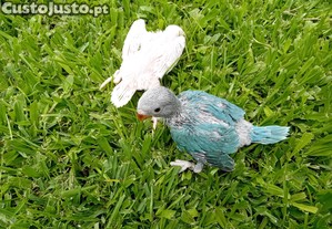 imagem_5