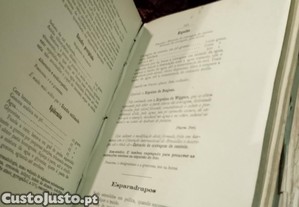 imagem_15
