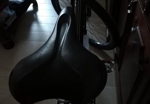 Assento de bicicleta