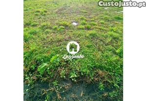 imagem_5