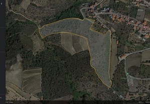 Terreno para cultivo vinha - Seixas do Douro