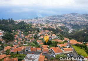 imagem_8