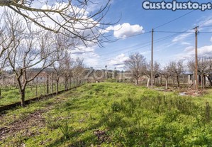 Propriedade Rural Em Meinedo - Duas Moradias...