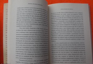 imagem_5