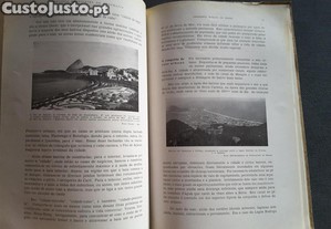 imagem_7