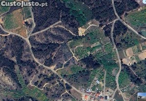 Terreno Agroflorestal em Chancelaria