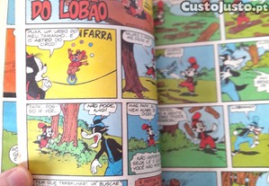 imagem_6
