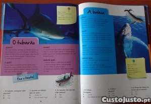 imagem_7