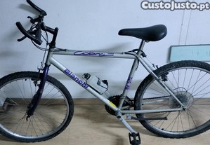 Bicicleta Bianchi Special Cobra