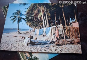 imagem_6
