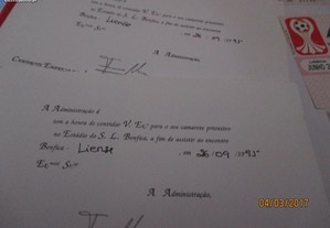 imagem_8