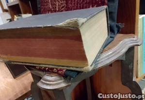 imagem_16