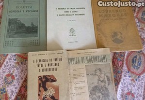 Conjunto barato de livros sobre Moçambique antigo