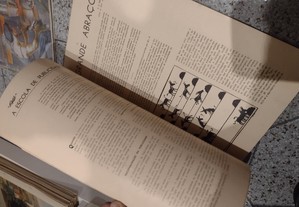 imagem_5