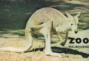 Welcome to Melbourne Zoo