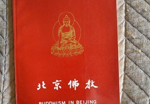 Arte e Cultura Chinesa: Budismo em Pequim - Buddhi