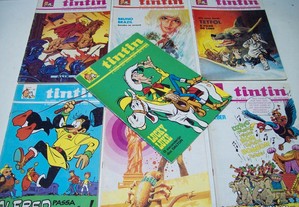 7 Bd's Tintin