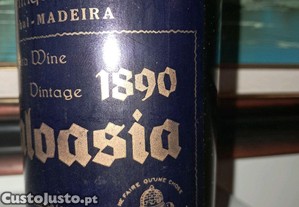 imagem_5