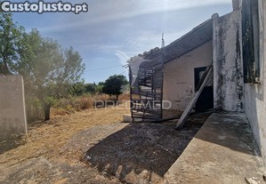 imagem_13