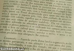 imagem_12