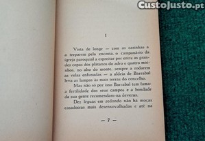 imagem_6