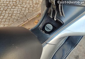 imagem_11