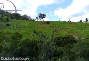 imagem_13