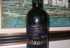 imagem_4
