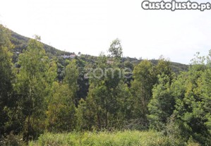 Terreno Rústico Com 5.400 M² - Pontalinhos,...