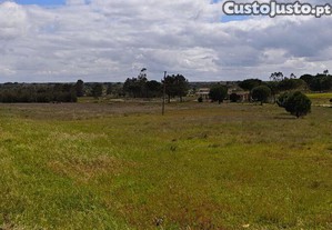Terreno para construção em Branca de 39000,00 m²