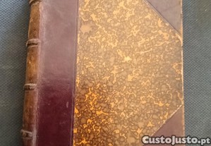 imagem_1