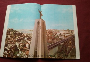 imagem_4