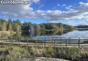 imagem_15