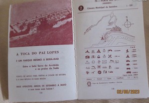 imagem_4