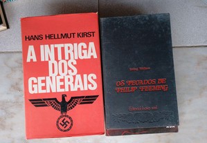 imagem_2