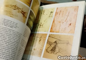imagem_7