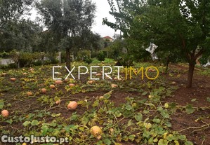 imagem_30