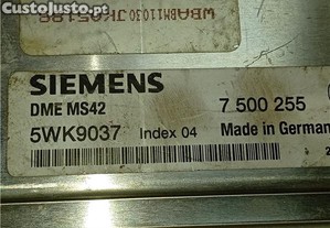 imagem_2