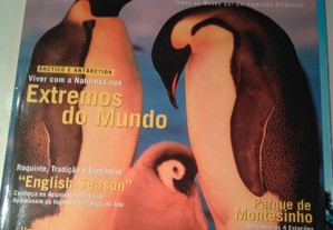 imagem_8