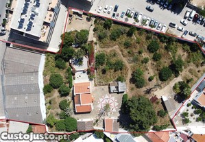 imagem_3