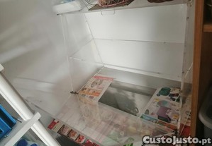 imagem_2