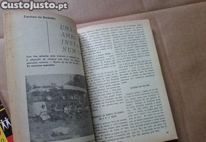 imagem_5